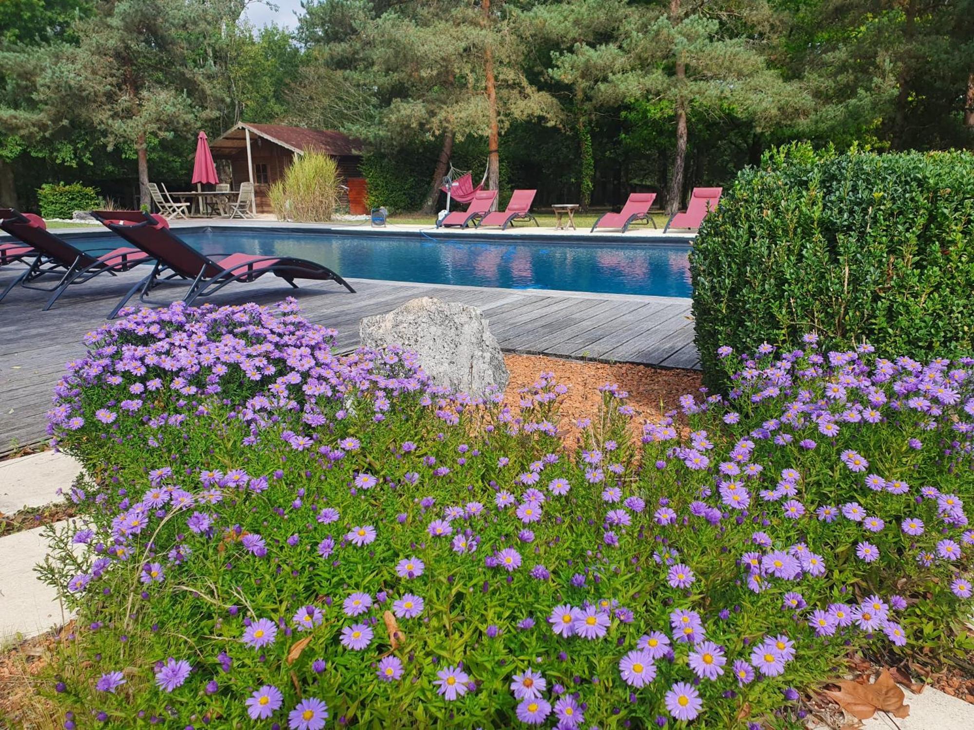Domaine De Grand-Pas Villa Vernou-en-Sologne Buitenkant foto